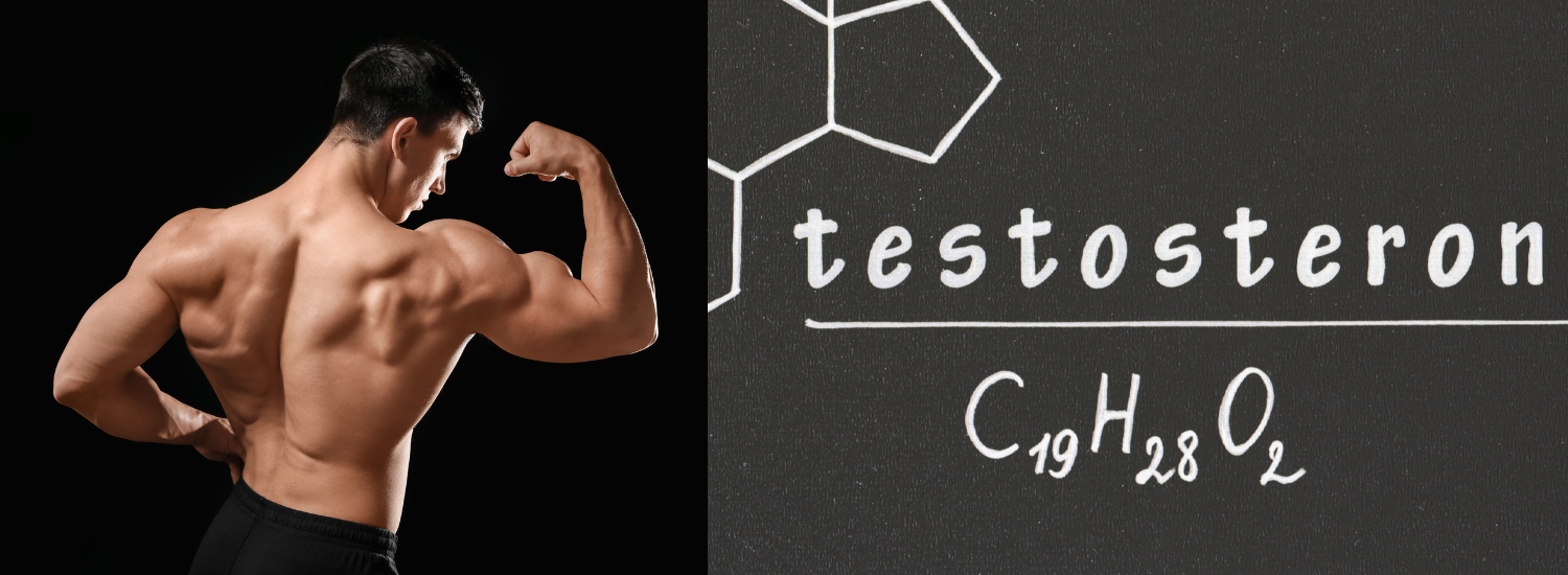 Testosteron ce este si ce rol are